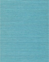 Chiyo Sisal WNR2114 WT Turquoise by  Catania Silks 