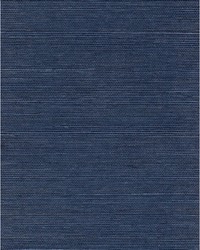 Chiyo Sisal WNR2120 WT Indigo by  Catania Silks 