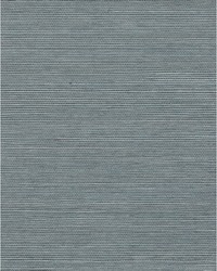 Chiyo Sisal WNR2124 WT Lapis by  Catania Silks 