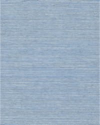 Chiyo Sisal WNR2129 WT Aquamarine by  Catania Silks 