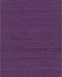Chiyo Sisal WNR2137 WT Purple by  Catania Silks 