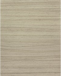 ARLETTE WNS5530 WT MUSHROOM by   