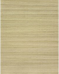 ARLETTE WNS5533 WT GREEN TEA by   