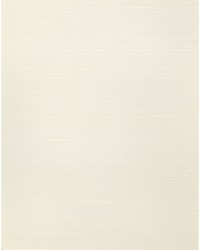 MISHEO WNS5543 WT LACE by   