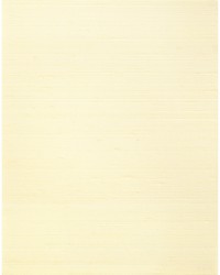 MISHEO WNS5544 WT JASMINE by   