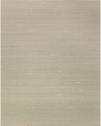 AMBROSE WNS5563 WT GREIGE by   