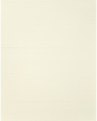 AMBROSE WNS5565 WT COTTON by   