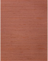 AMBROSE WNS5566 WT TERRA by   