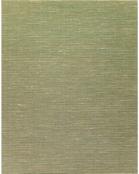 ALTHEA PLAIN WNS5576 WT OLIVE by  Chella 