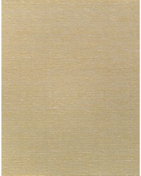 ALTHEA PLAIN WNS5578 WT RAFFIA by   