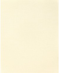 ALTHEA PLAIN WNS5580 WT WOOL by   