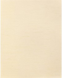 ALTHEA PLAIN WNS5585 WT CHAMPAGNE by   