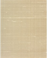 CARRINGTON WNS5593 WT TAN by   