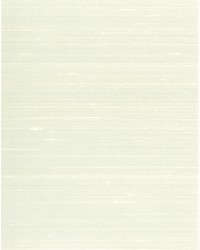 CARRINGTON WNS5597 WT LILY WHITE by   