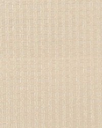 Composition  WNW2211 WT Pearl White by  Winfield Thybony Design 