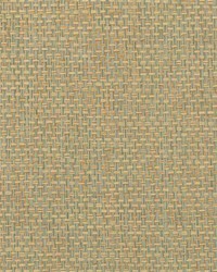 Rosette Weave WNW2220 WT Powder  by  Winfield Thybony Design 