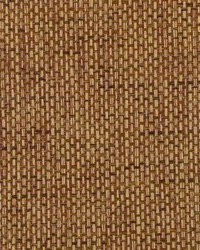 Rosette Weave WNW2221 WT Chipotle by  Winfield Thybony Design 