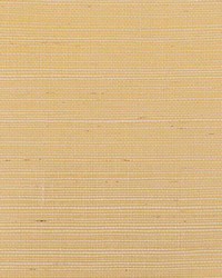 Acapella WNW2247 WT Ore by  Winfield Thybony Design 