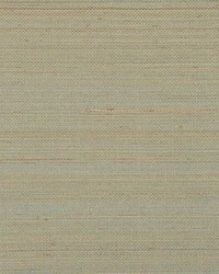 Acapella WNW2251 WT Ice Fog by  Winfield Thybony Design 