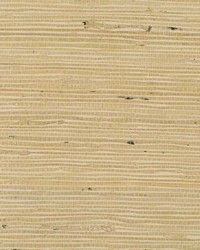 Concerto WNW2257 WT Tusk by   