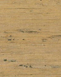 Concerto WNW2260 WT Saffron by   