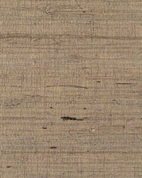 Concerto WNW2263 WT Fawn by   