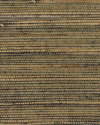 Concerto WNW2264 WT Stonewashed by   