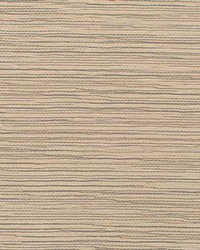 Adagio WNW2267 WT Putty by  Winfield Thybony Design 