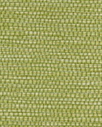 PANAMA WPW1146 ENVY by   