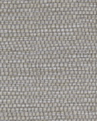 PANAMA WPW1147 ASH by   