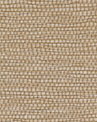 PANAMA WPW1154 GOLDILOCKS by   