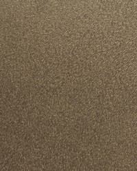 SADDLE STITCH WPW1193 RODEO by   