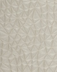 COSMIC WPW1244 IN THE MIST by   