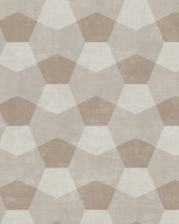 ALDER WSH1001 HEMP by   