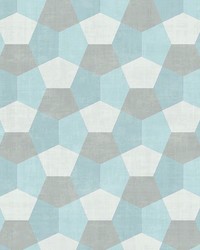 ALDER WSH1002 PACES by   