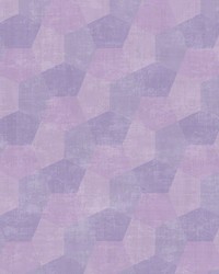 ALDER WSH1005 MALBEC by   