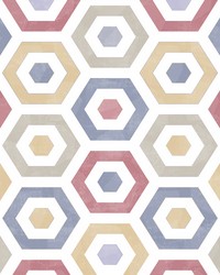 POP WSH1042 SHIRAZ PINOT by   