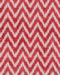 ZIGGY WSH1052 RED by   