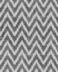 ZIGGY WSH1055 CHARCOAL by   