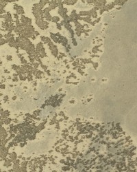 Covo Beads WSP6307 WT  by   