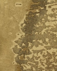 Corvo Beads WSP6308 WT  by   