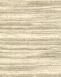 Metallic Sisal WSS4506 WT Sand by   