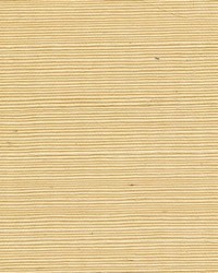 Sisal WSS4521 WT Chamomile by   