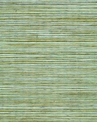 Sisal WSS4532 WT Springtime by   