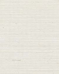 Sisal WSS4535 WT Chalk by   