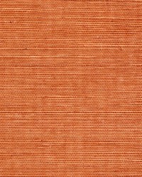 Sisal WSS4541 WT Amber by   