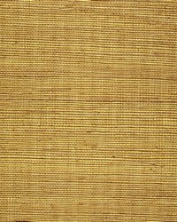 Metallic Sisal WSS4546 WT Goldenrod by   