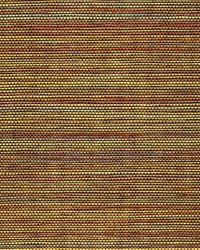 Sisal WSS4548 WT Paprika by   