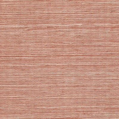 Sisal WSS4555 WT Driftwood WINFIELD THYBONY SIMPLY SISAL WSS4555.WT PAPER - 100% Grasscloth 