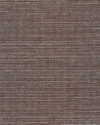 Metallic Sisal WSS4577 WT Lava by   
